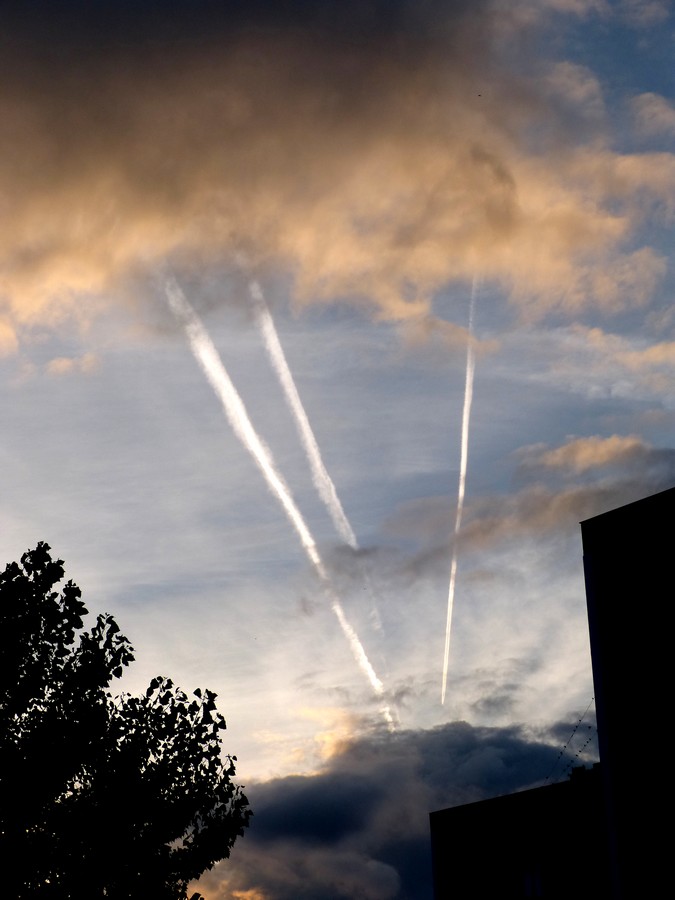 Entre ciel et terre ... 