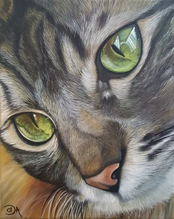 chat chatou