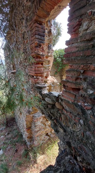 Peut être une image de plein air, mur de briques et arbre