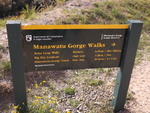 Manawatu gorge track