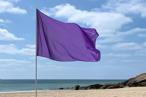 Drapeau violet, pour eau de baignade trop polluée ou présence d'espèce aquatique dangereuse, toujours accompagné de drapeau jaune ou rouge évaluant le danger.jpg