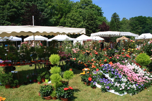 Abbaye de Chaalis. Les journées de la rose 2013