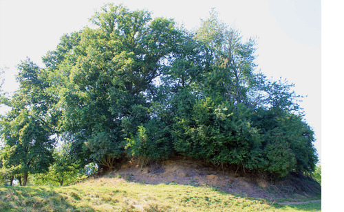 LES REMPARTS DE DRUBEC (Calvados)