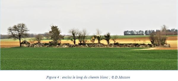 "Les cabanes à moutons de Coulmier le Sec", un notule d'Histoire de Dominique Masson....