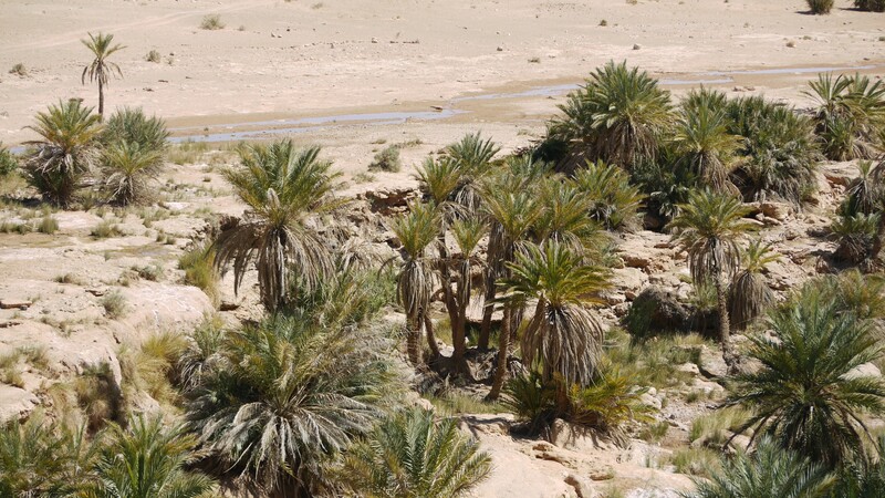 Piste autour de l'erg Chebbi