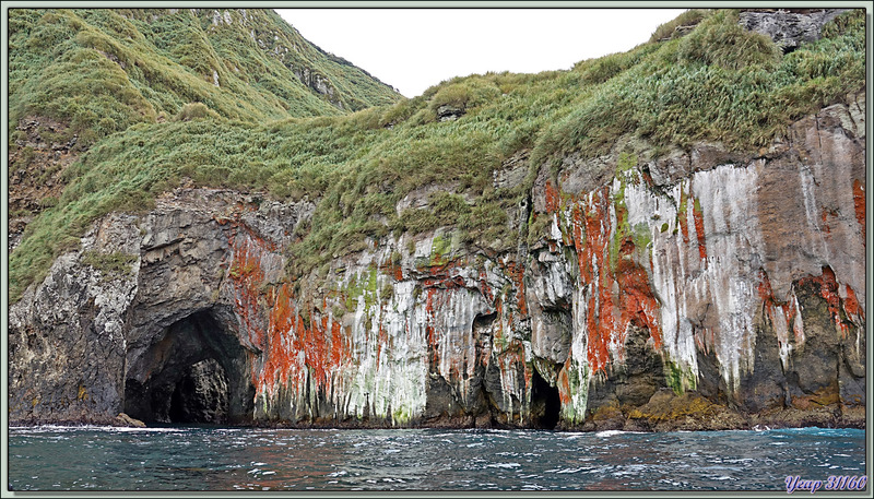 Au pays des merveilles : quand la nature fait dans l'abstrait - Nightingale Island - Tristan da Cunha