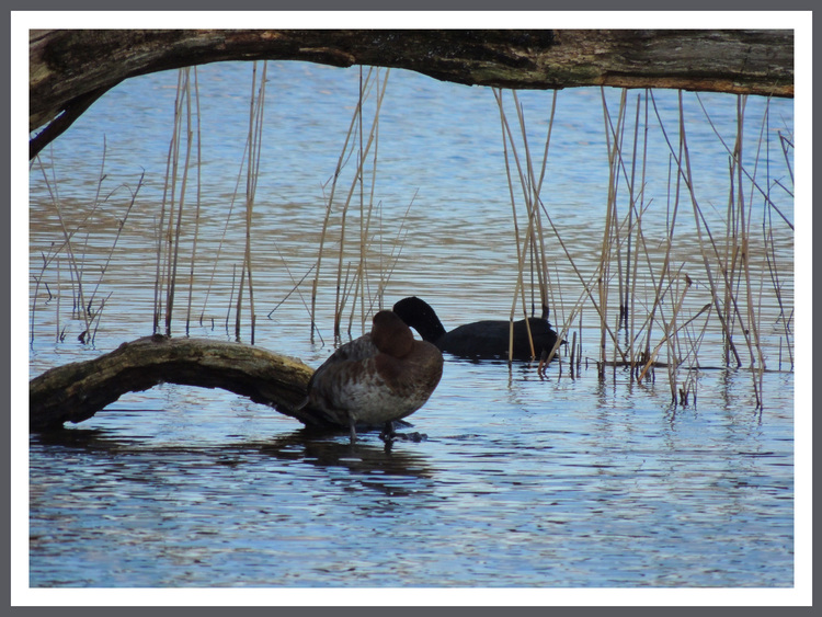 En Brenne.Images gratuites.