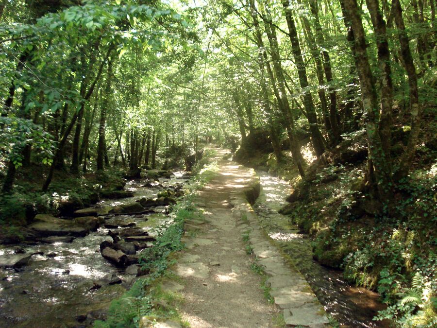 VISITE  D'AUBAZINE  ET  DU CANAL DES MOINES