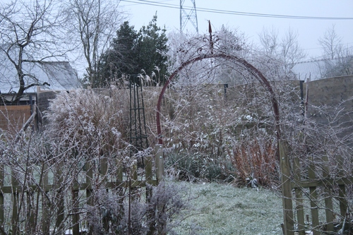 Le jardin en mode hiver - 1