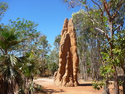 Litchfield National Park