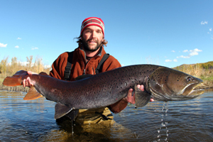 taimen pêche