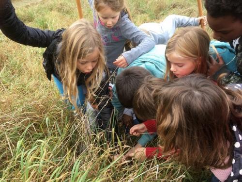 entretenir le verger et apprendre