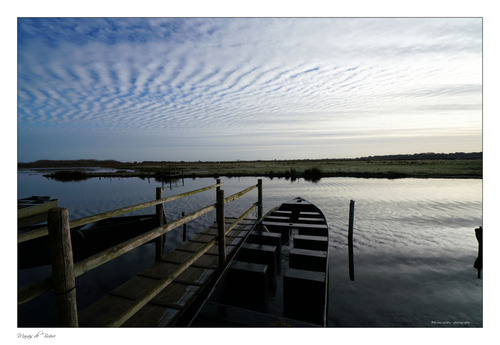 Marais de la Grande Brière