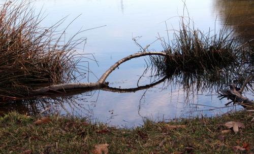 Baraqueville : les reflets du lac