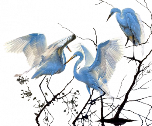 Tubés állatos képek