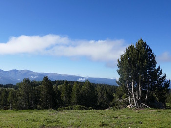 Pendant la montée, vue vers le Sud