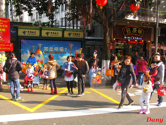 Chine 2015-2em marché aux fleurs-1