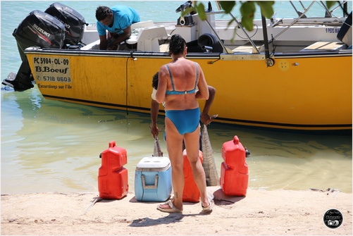 Bain de Bœuf, île Maurice 