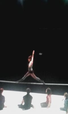 CM1 A spctacle de cirque pour noel