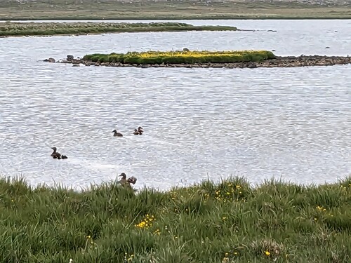 De Egilsstaðir à Raufarhöfn (Hôtel Nest)