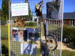 Exposition au SIRTOM