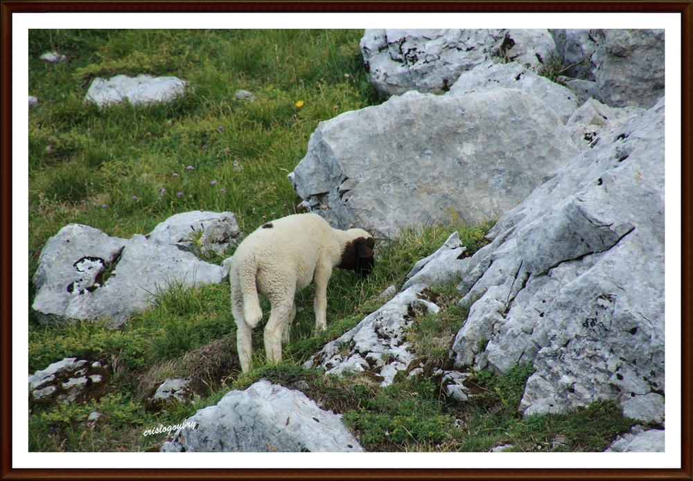 sur les hauteurs