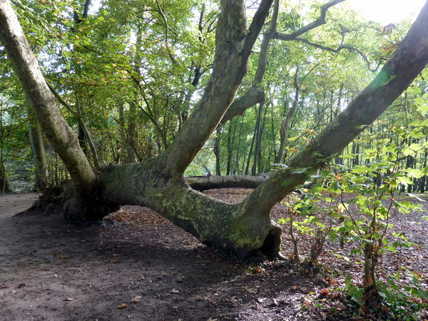 Randonnée le long de l'Yerres