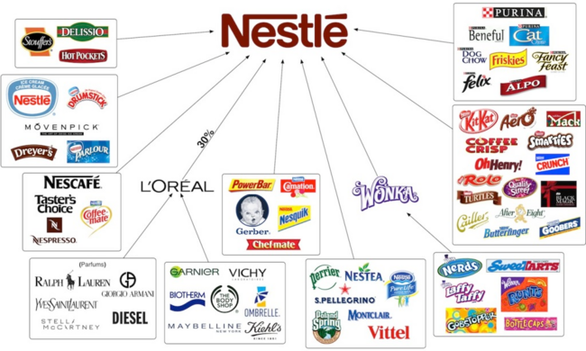 Ce que possède le groupe Nestlé.