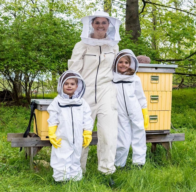 Journée mondiale des abeilles