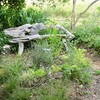 LAPENCHE "Le jardin sous le ciel" notre visite du 12 juin 2017 photos mcmg82