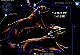 XXII - Armure des Chiens de chasse (Canes Venatici Cloth)