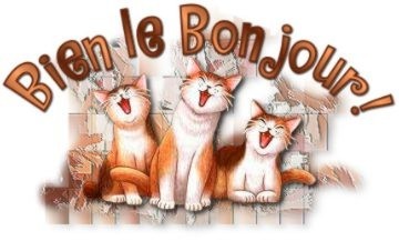 Bien le bonjour (chats)