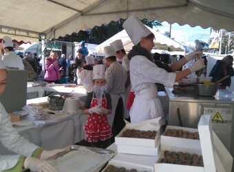 Foire aux champignons 2015