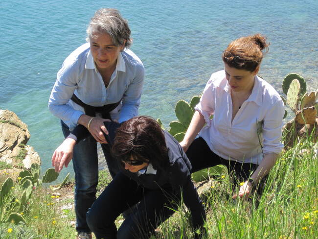 Vacances perpignanaises : la crique de Paulilles.