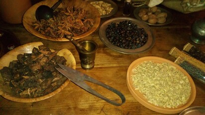 Carcassonne: Atelier sur les plantes médicinales et les épices utilisées au Moyen-âge