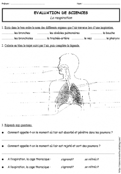 EVALUATIONS