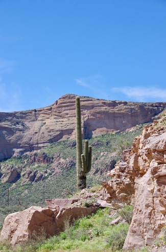 Jour 14 - l'Apache Trail, Tonto National Forest, Arizona