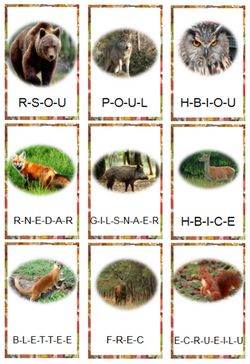 Vocabulaire - les animaux de la forêt
