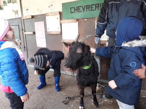 suite de l'article Ferme de St Niau