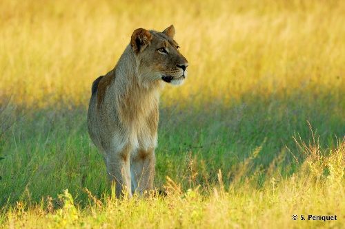 Hwange National Park