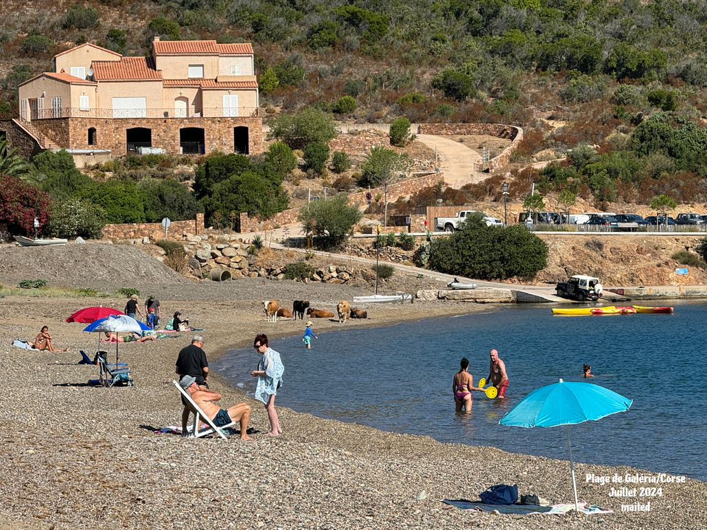 Plage partagée - Galéria - Corse