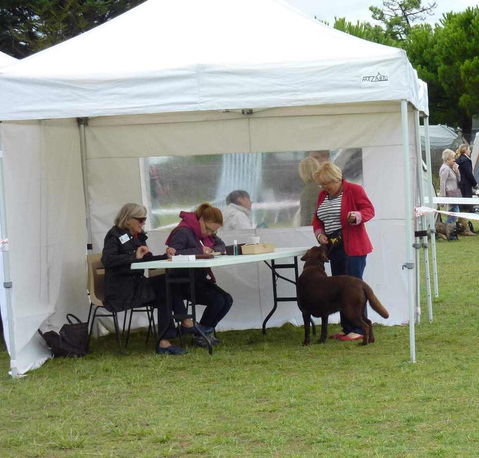 Expo de Port des Barques (17)