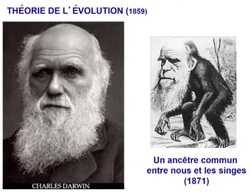 1859 Darwin Théorie de l'évolution.jpg
