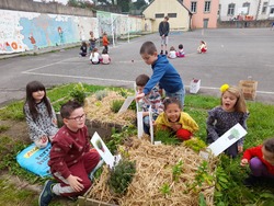 maternelle : classe dehors du mois de juin