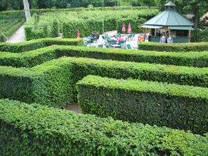 SCHÖNBRUNN - le labyrinthe