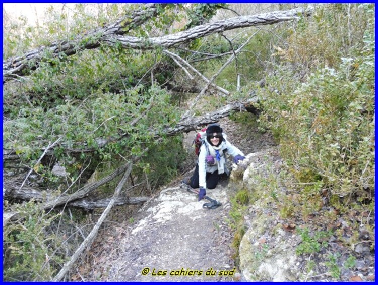 Les gorges du Colostre