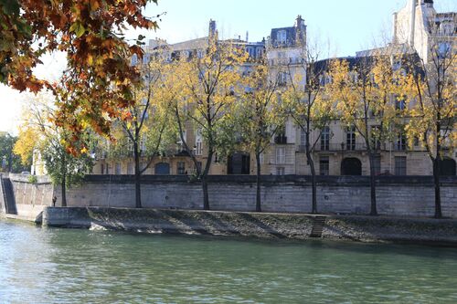 Enfin l'automne