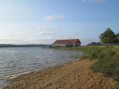 Balade vers le lac de Mimizan-Aureilhan