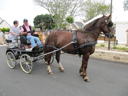 L'inauguration du bourg