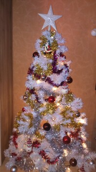 Sapin...